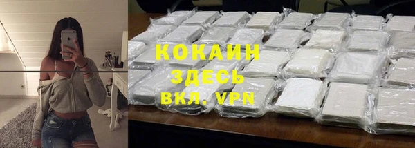 кокс Аша
