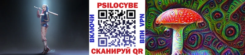 продажа наркотиков  Струнино  Псилоцибиновые грибы Psilocybe 